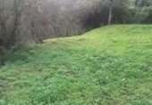 Masía con terreno en venta en Benarrabá ref: TR200875 foto