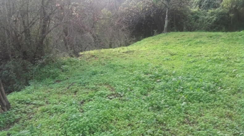 Málaga - Benarrabá - 20000m2
