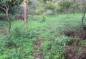 Masía con terreno en venta en Benarrabá ref: TR200875 foto