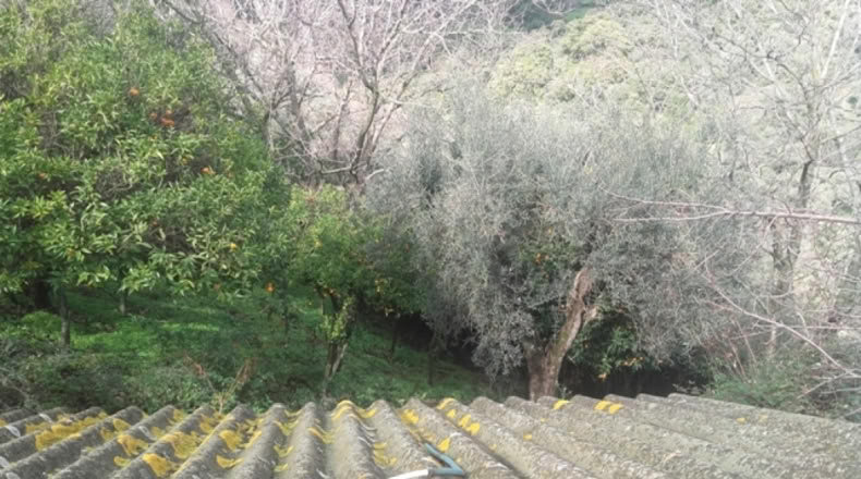 Málaga - Benarrabá - 20000m2