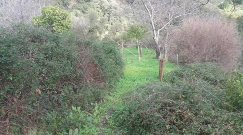 Málaga - Benarrabá - 20000m2