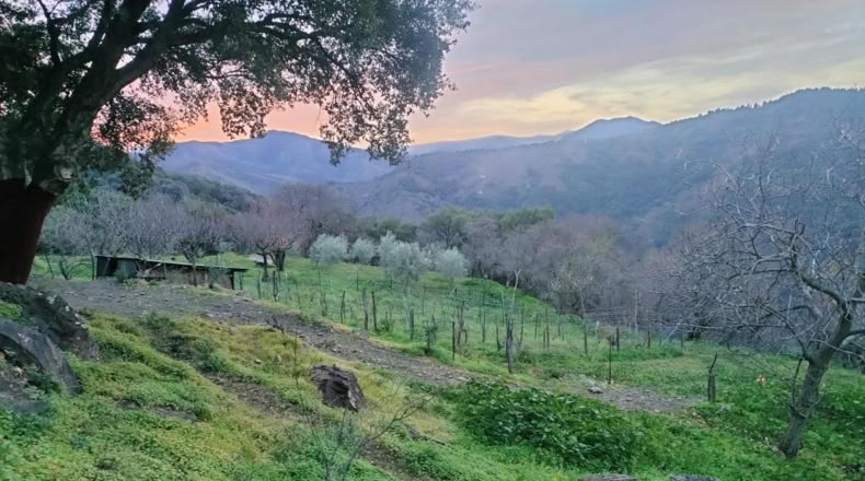 Málaga - Jubrique - 22500m2