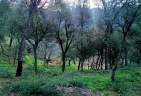 Jubrique 22500&nbsp;m² 