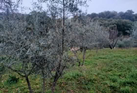 Jubrique 22500&nbsp;m² 