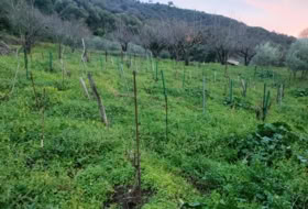 Jubrique 22500&nbsp;m² 