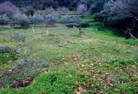 Jubrique 22500&nbsp;m² 