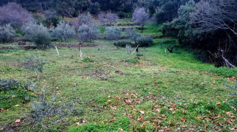 Málaga - Jubrique - 22500m2