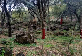 Jubrique 22500&nbsp;m² 
