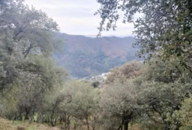 Jubrique 22500&nbsp;m² 