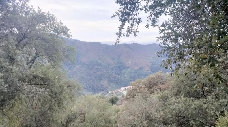 Málaga - Jubrique - 22500m2