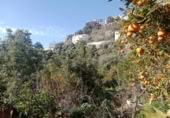Masía con terreno en venta en Jubrique ref: TR200879 foto