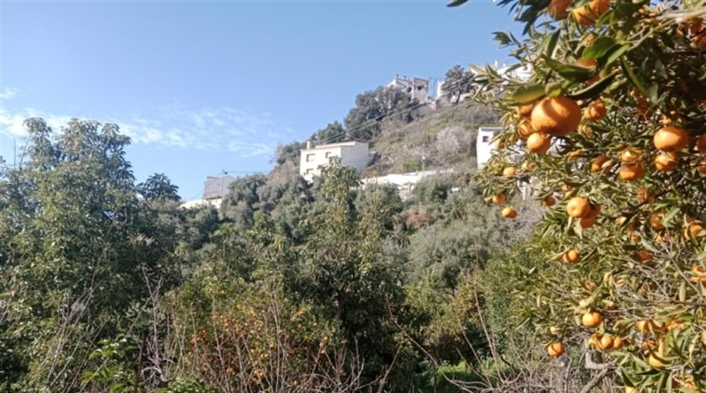 Málaga - Jubrique - 7000m2