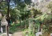 Masía con terreno en venta en Jubrique ref: TR200879 foto