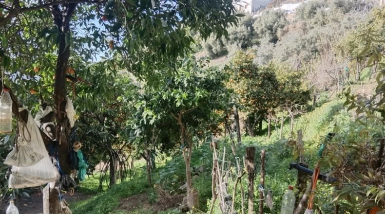 Málaga - Jubrique - 7000m2