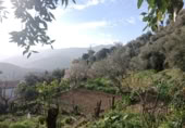 Masía con terreno en venta en Jubrique ref: TR200879 foto