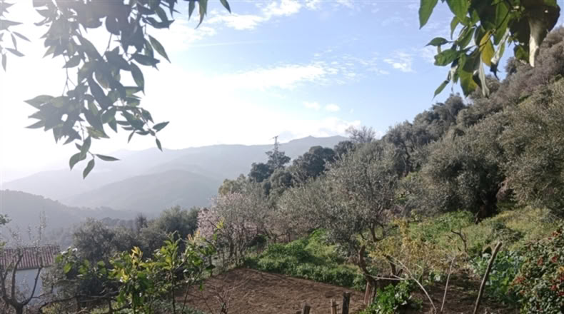 Málaga - Jubrique - 7000m2