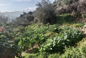 Foto 19