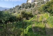 Masía con terreno en venta en Jubrique ref: TR200879 foto