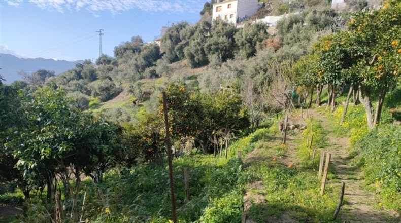 Málaga - Jubrique - 7000m2