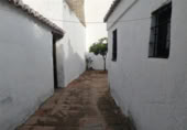 Masía con terreno en venta en Jubrique ref: TR200879 foto