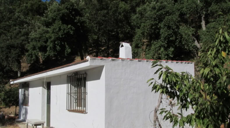 Málaga - Jubrique - 25000m2