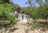 Masia amb terreny en venda a Jubrique ref.: TR200881 foto