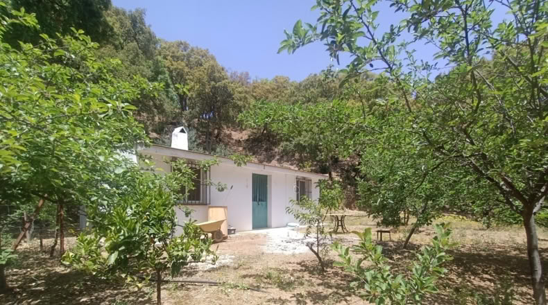 Málaga - Jubrique - 25000m2