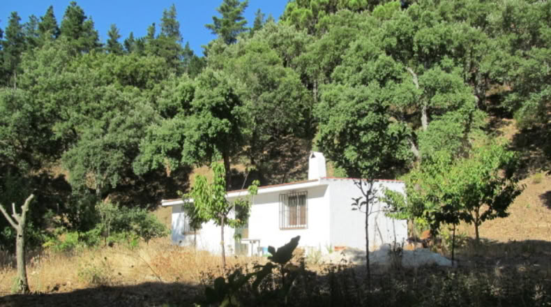 Málaga - Jubrique - 25000m2