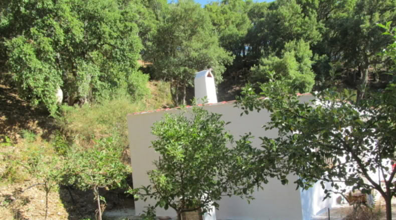 Málaga - Jubrique - 25000m2