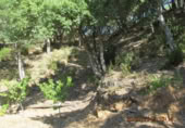Masia amb terreny en venda a Jubrique ref.: TR200881 foto