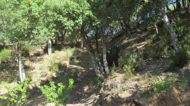 Málaga - Jubrique - 25000m2