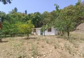 Masia amb terreny en venda a Jubrique ref.: TR200881 foto