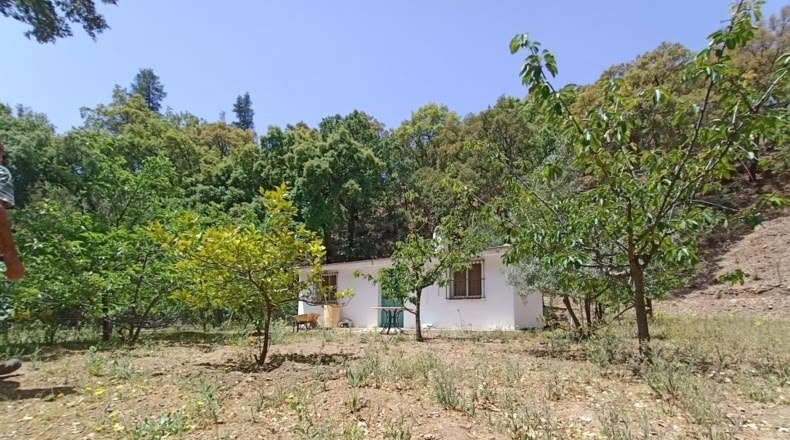 Málaga - Jubrique - 25000m2
