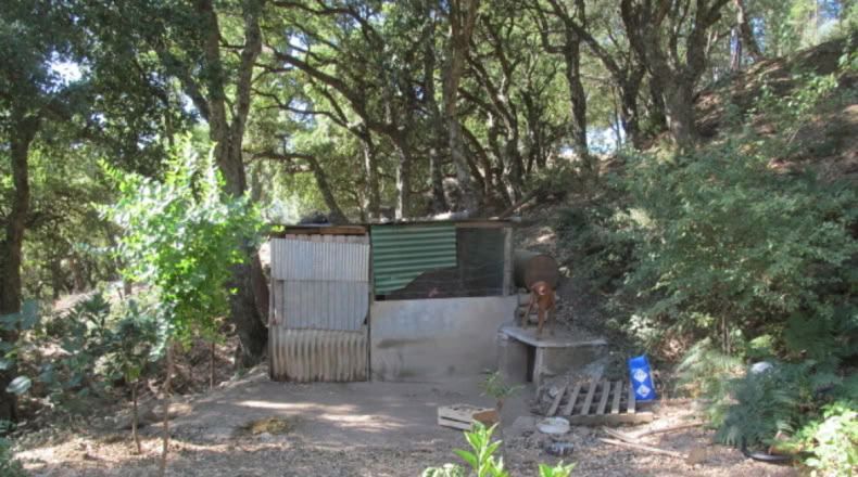 Málaga - Jubrique - 25000m2