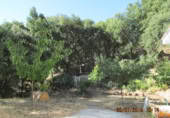Masia amb terreny en venda a Jubrique ref.: TR200881 foto