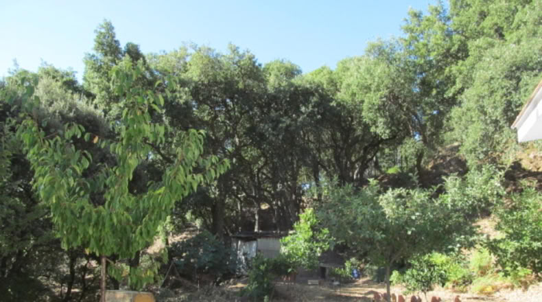Málaga - Jubrique - 25000m2