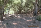 Masia amb terreny en venda a Jubrique ref.: TR200881 foto