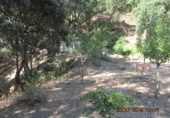 Masia amb terreny en venda a Jubrique ref.: TR200881 foto