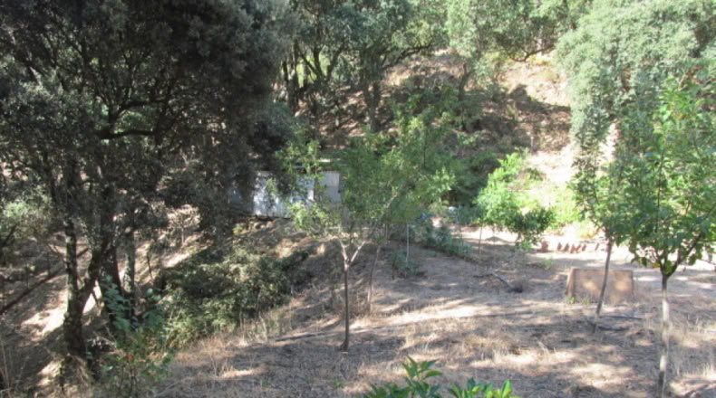 Málaga - Jubrique - 25000m2