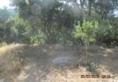 Masia amb terreny en venda a Jubrique ref.: TR200881 foto