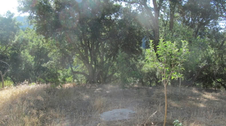 Málaga - Jubrique - 25000m2