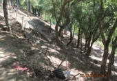 Masia amb terreny en venda a Jubrique ref.: TR200881 foto