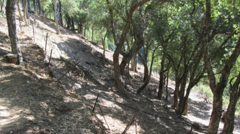 Málaga - Jubrique - 25000m2