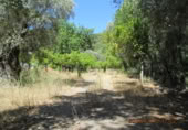Masia amb terreny en venda a Jubrique ref.: TR200881 foto