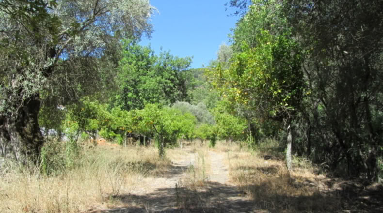 Málaga - Jubrique - 25000m2