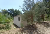 Masia amb terreny en venda a Jubrique ref.: TR200881 foto
