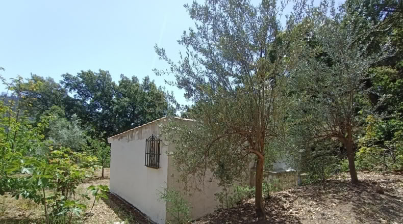 Málaga - Jubrique - 25000m2