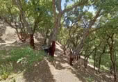 Masia amb terreny en venda a Jubrique ref.: TR200881 foto