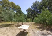 Masia amb terreny en venda a Jubrique ref.: TR200881 foto
