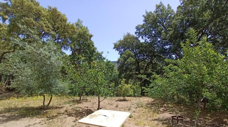 Málaga - Jubrique - 25000m2